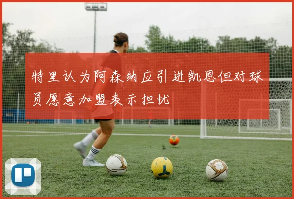 特里认为阿森纳应引进凯恩但对球员愿意加盟表示担忧