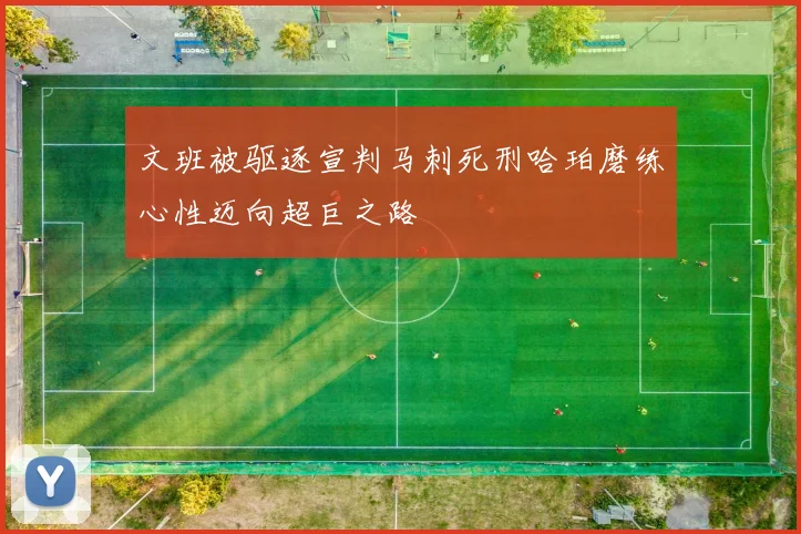文班被驱逐宣判马刺死刑哈珀磨练心性迈向超巨之路